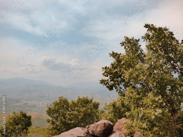 Obraz tree in the mountains