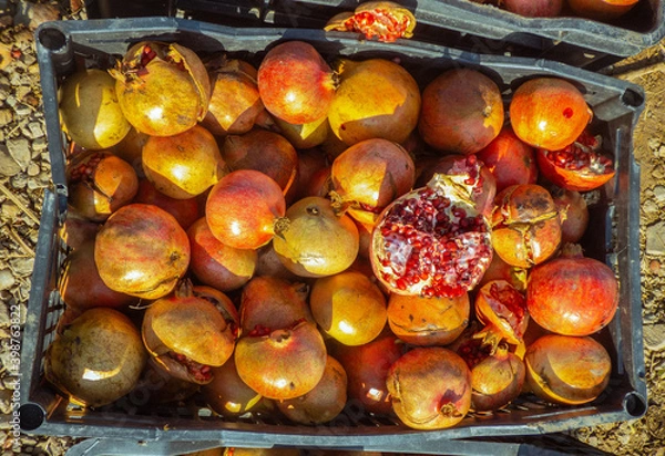 Obraz fruits and vegetables