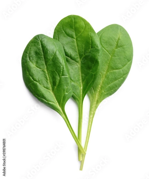 Fototapeta Spinach leaves
