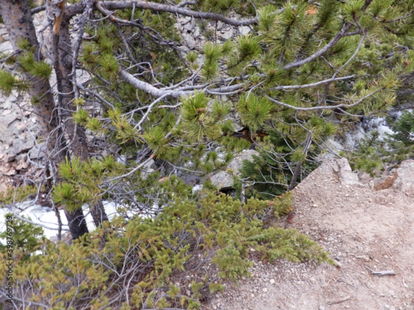 Obraz A Winter Day Hike Through The Mountains 