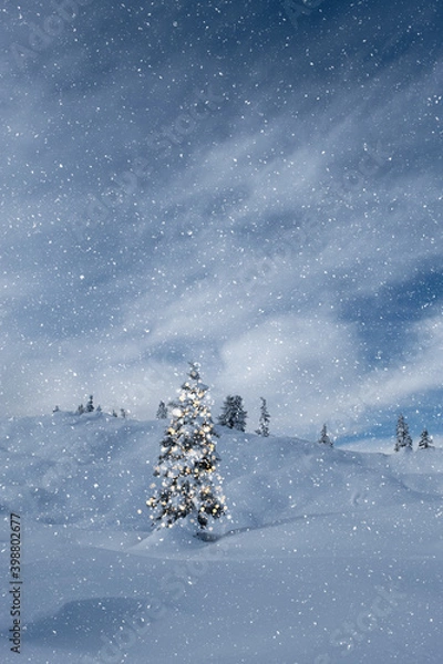 Fototapeta Winterlicher Weihnachtsbaum