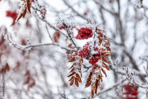 Fototapeta red and white