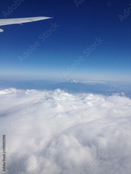 Obraz 雲海と富士