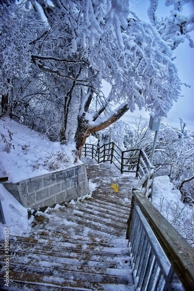 Fototapeta snow covered bridge