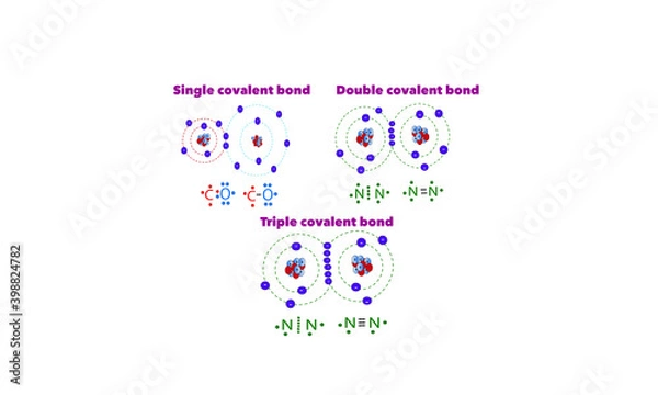 Fototapeta Covalent bonds [Single, double, triple]