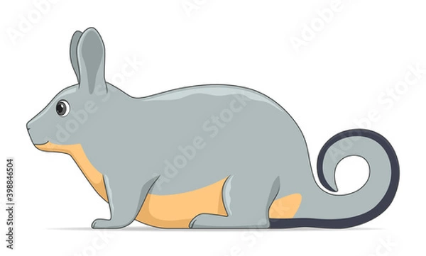 Obraz Viscacha animal standing on a white background