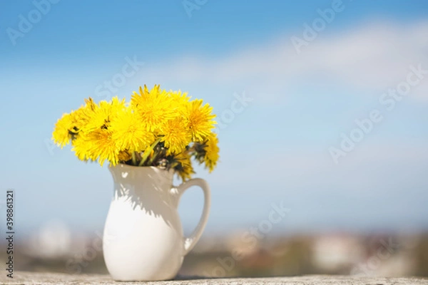 Obraz Yellow dandelions on a blue sky background with a copy of the space space For your text. A bouquet of dandelions in a White vase close-up.