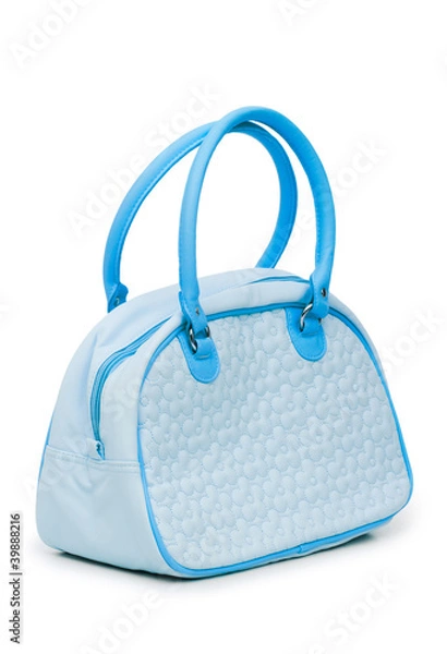 Obraz Elegant woman bag on white