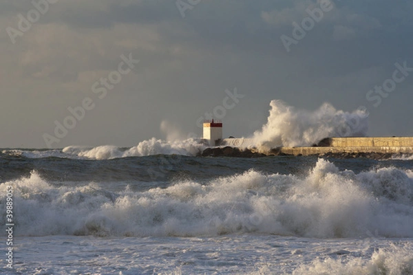 Obraz lame sur la digue