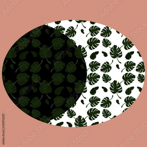 Fototapeta Botanic pattern with monstera leaves