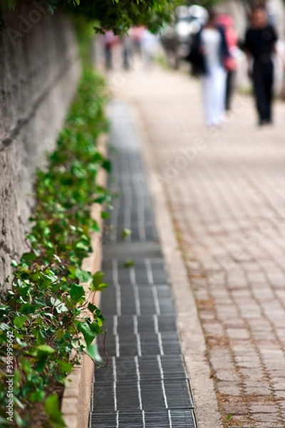 Fototapeta 달성습지