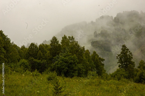 Obraz Фото из экопоселения на Алтае "Чачжаевка"