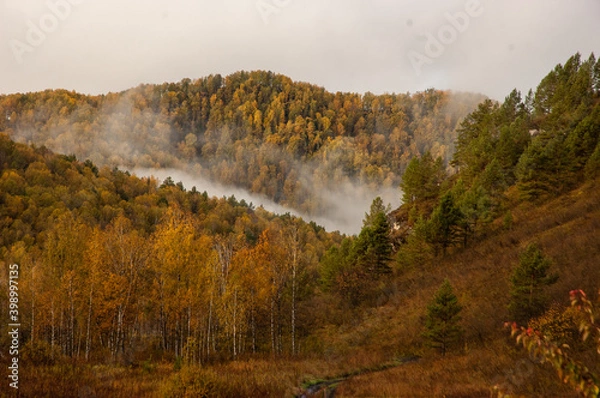 Obraz Фото из экопоселения на Алтае "Чачжаевка"