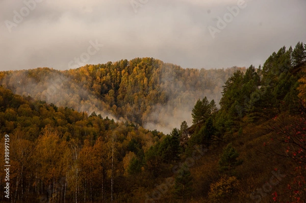 Obraz Фото из экопоселения на Алтае "Чачжаевка"