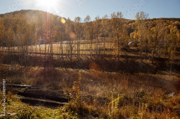 Obraz Фото из экопоселения на Алтае "Чачжаевка"