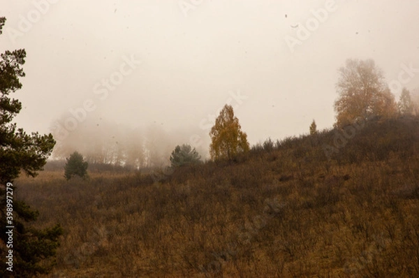 Obraz Фото из экопоселения на Алтае "Чачжаевка"