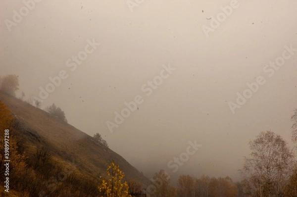 Obraz Фото из экопоселения на Алтае "Чачжаевка"