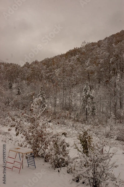 Obraz Фото из экопоселения на Алтае "Чачжаевка"