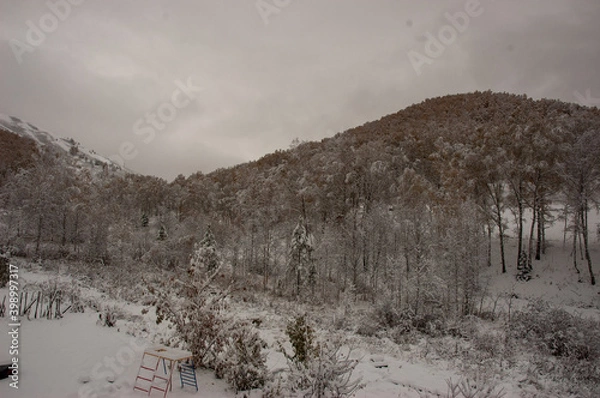 Obraz Фото из экопоселения на Алтае "Чачжаевка"