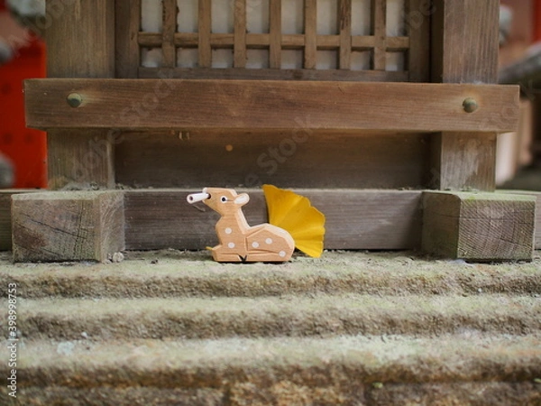 Fototapeta OLYMPUS DIGITAL CAMERA