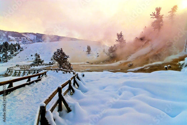 Obraz Mammoth Hot Spring Terraces