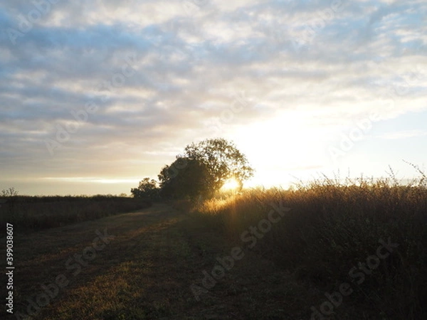 Fototapeta OLYMPUS DIGITAL CAMERA