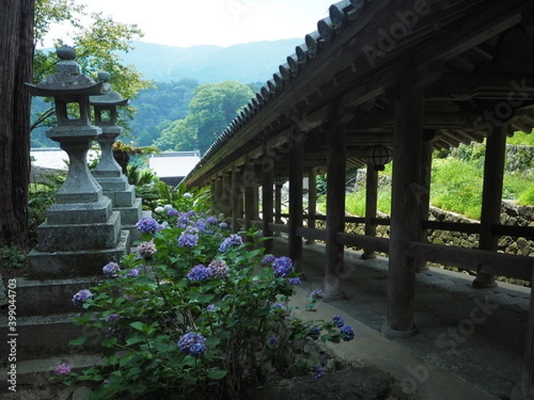 Fototapeta OLYMPUS DIGITAL CAMERA