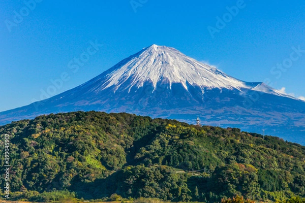 Fototapeta 静岡県富士川からの富士山