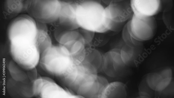 Obraz black and white