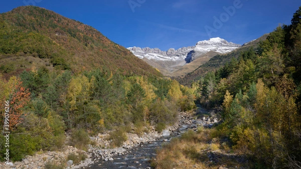 Fototapeta A small running stream through yellow autumn forest with Mount Perdido in background