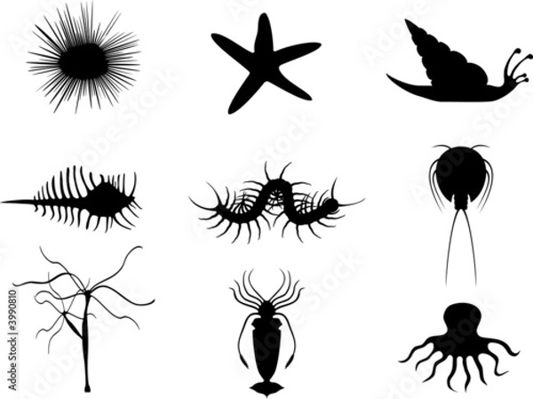 Fototapeta Invertebrate icons