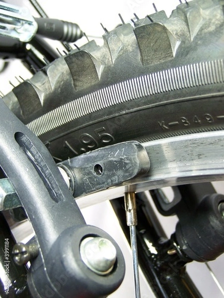 Obraz Bicycle brake
