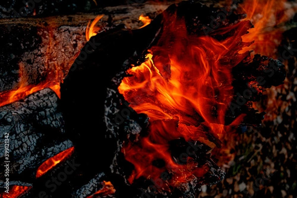 Obraz burning stump, sparks texture, fire, flame