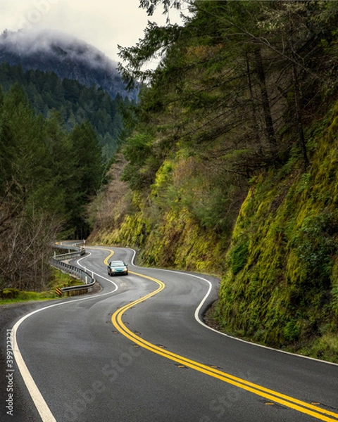 Fototapeta highway curving through mountain with trees, fog, car, moss