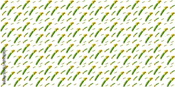Fototapeta Seamless pattern of young green zucchini  on a weit background