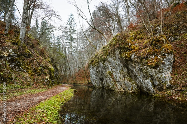 Fototapeta Forest scenery showing a big mossy rock at a still river and a forest way leading along the riverfront. The scenery reflects in the dark water.
