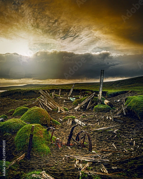 Obraz landscape with sky