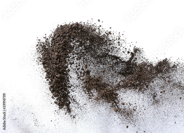 Obraz Sand which flies and bounds