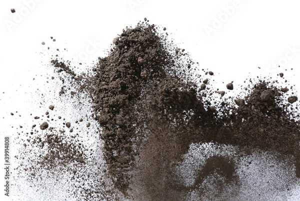 Obraz Sand which flies and bounds