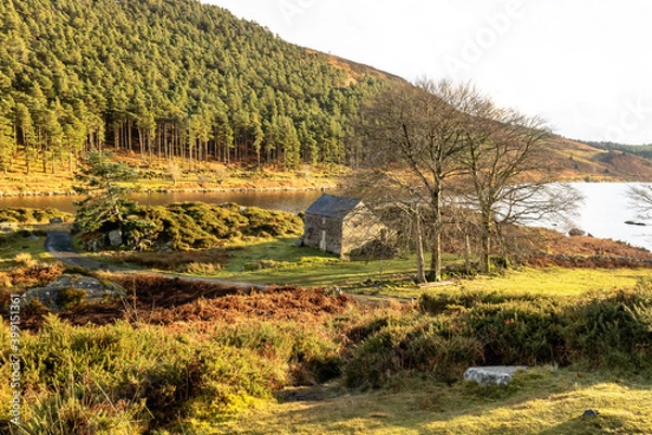Fototapeta On the shores of Llyn Geirionydd, Snowdonia. Winter landscape with forest in the background.