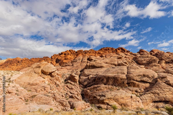 Fototapeta Sunny view of the beautiful landscape of Calico Basin area of Red Rock Canyon
