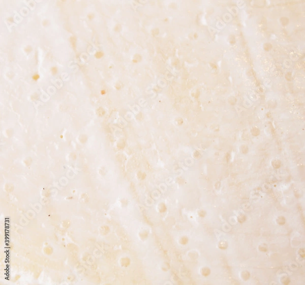 Fototapeta Farmer's cheese crust of cheese with grains inside. texture as hand-made cheeses ripen. orange white green solid background, cheese mold