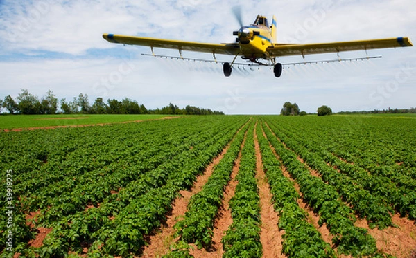 Obraz Odkurzanie upraw