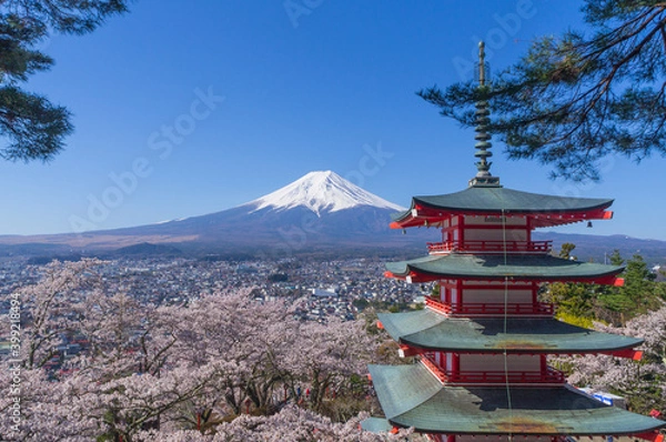 Fototapeta 山梨県からの富士山と五重塔と桜