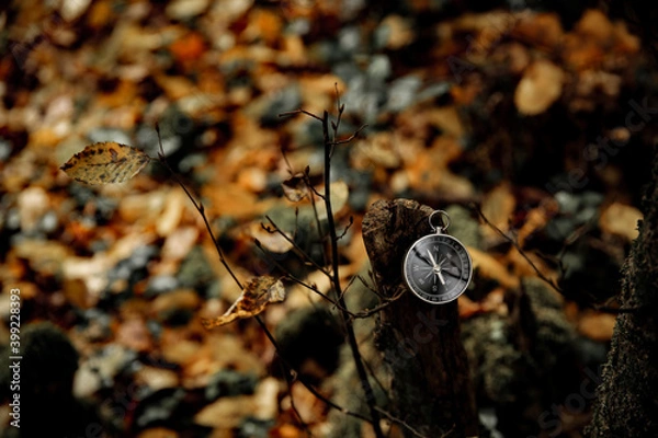 Obraz navigating the forest with a compass