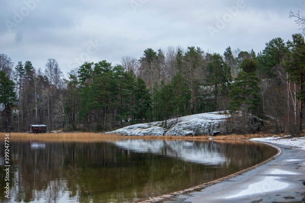 Obraz lake in the forest