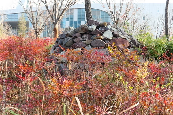 Obraz Late autumn park landscape