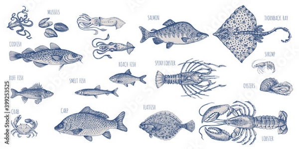Obraz Set of sea food elements. Lobster, shrimp, crab and fish. Sketch in vintage style for sea food restaurant menu design.