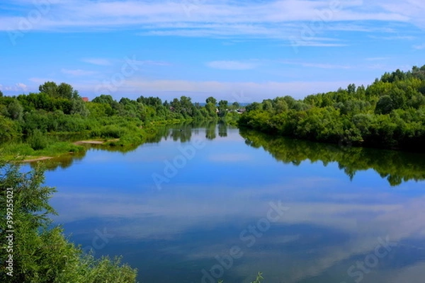 Obraz lake and forest