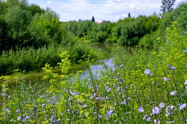 Obraz lake in the forest